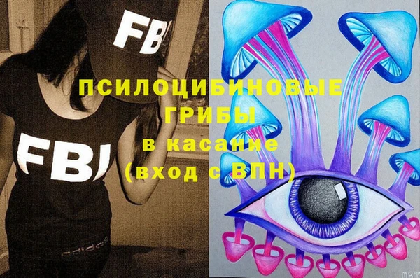 PSILOCYBIN Приозерск