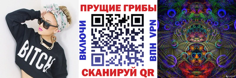 хочу   Ак-Довурак  Галлюциногенные грибы мицелий 